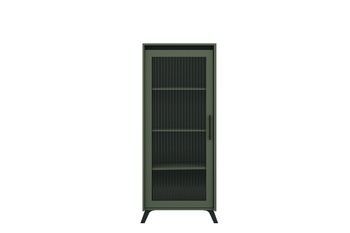 Витрина низкая Лаундж REG1W зеленый дымчатый/черный BRW Украина BRW Украина - 1